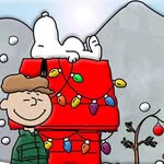 Mark R. Bodkin - @markr_339 - Instagram