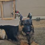 Mark Bohm - @mark.bohm1 - Instagram
