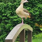 Markus Bohnert - @markus.bohnert.1 - Instagram