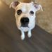 Mark Boltz - Facebook