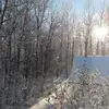 Bon Markham - @bon.markham - TikTok