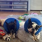 Mark Bonham - @markb.82816 - Instagram