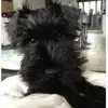 Mark Bonham Carter - @mark.bonham.carte - TikTok