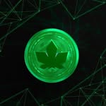 Mark Bonner - @cannaland_man - Instagram