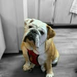 mark boris - @markboris195 - Instagram