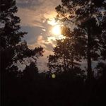 Mark Borrelli - @intsta52now - Instagram