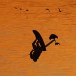 Mark Bortz - @mark_bortz - Instagram