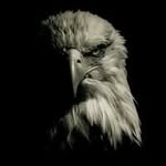 Mark Boshara - @mark_boshara - Instagram