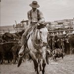Mark Bossert - @markbossert - Instagram
