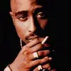 Mark Bosco - @mark.bosco65 - TikTok