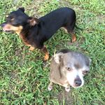@mark.bostic - Instagram