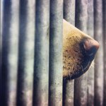 @markbottomley - Instagram