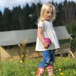 Mark Bottomley - @markbottomley1 - Instagram