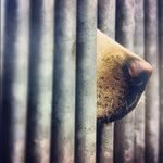 @markbottomley - Instagram