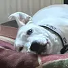 mark bottrill - @mandy.bottrill - TikTok