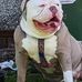 Mark Bouch - Facebook