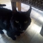 MarkBoucher22 - @markboucher22 - Instagram