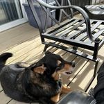Mark Bouchard - @mark.bouchard.52 - Instagram