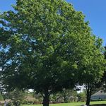 Mark Bouchard - @markb12346 - Instagram