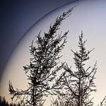 mark z bouie - @me336282 - Instagram