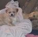 Marc Bounds - Facebook