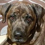 Mark Bourdon - @bourdonmark - Instagram