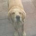 Mark Bowditch - Facebook
