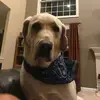 Mark - @mark.bowen - TikTok