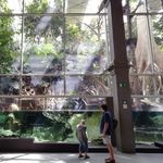 Mark Bower - @mark.bower.549 - Instagram