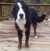 Mark Bower - Facebook