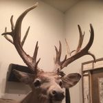 Mark Bower - @bower_mark - Instagram