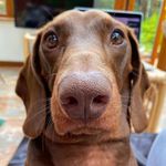 Mark Bowes - @bowes4654 - Instagram