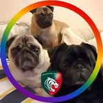 Mark Bowes - @markybb60 - Instagram