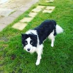 Mark Bowker - @mark.bowker.338 - Instagram