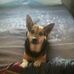 Mark Bowker - Facebook
