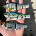 Mark Bowman - @outcast_swimbaits_ - Instagram