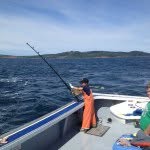 Mark Boyd - @boydsbluefin - Instagram