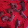Mark Boyer - @mark.boyer91 - TikTok