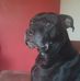 Mark Boyle - Facebook