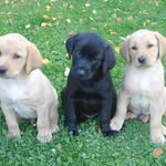 Mark Boyle - @mark.boyle.564 - Instagram