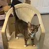 mark.boyle - @mark.boyle - TikTok