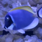 Mark Bozarth - @mark.bozarth.31 - Instagram