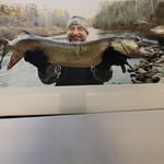 mark bozek - @polska0264 - Instagram