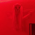 Mark William Bracewell - @markwilliambracewell - Instagram