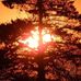 Mark Brashear - Facebook