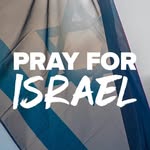 Mark Brack - @markfbrack - Instagram