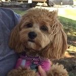 Mark Bradham - @bradhammark - Instagram