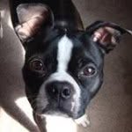 Mark Brake - @markbrake - Instagram