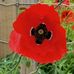 Mark Brame - Facebook