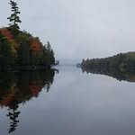 Mark Brant - @brant.mark - Instagram